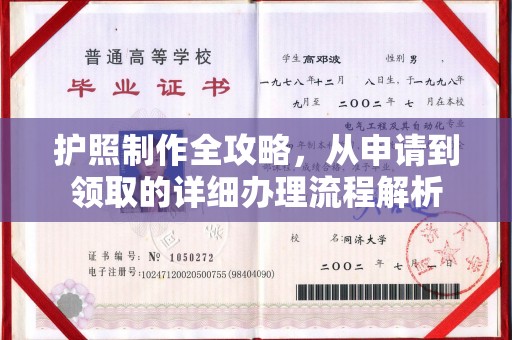 商南护照制作全攻略，从申请到领取的详细办理流程解析