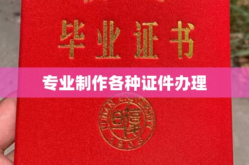 通道专业制作各种证件办理